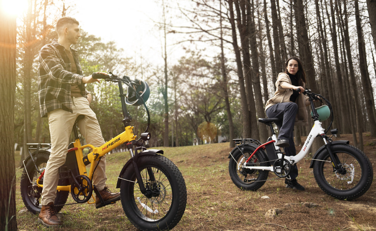 folding electric bike for adults